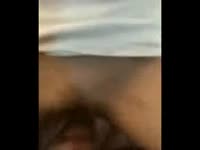 Hairy pussy getting eaten by a black dog xxx